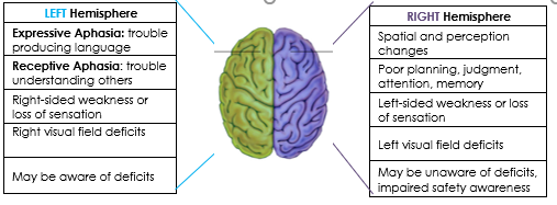 Aphasia – Southwest Rehabilitation